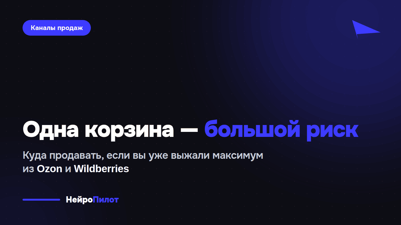 Одна корзина — большой риск. Куда продавать, если вы уже выжали максимум из Ozon и Wildberries